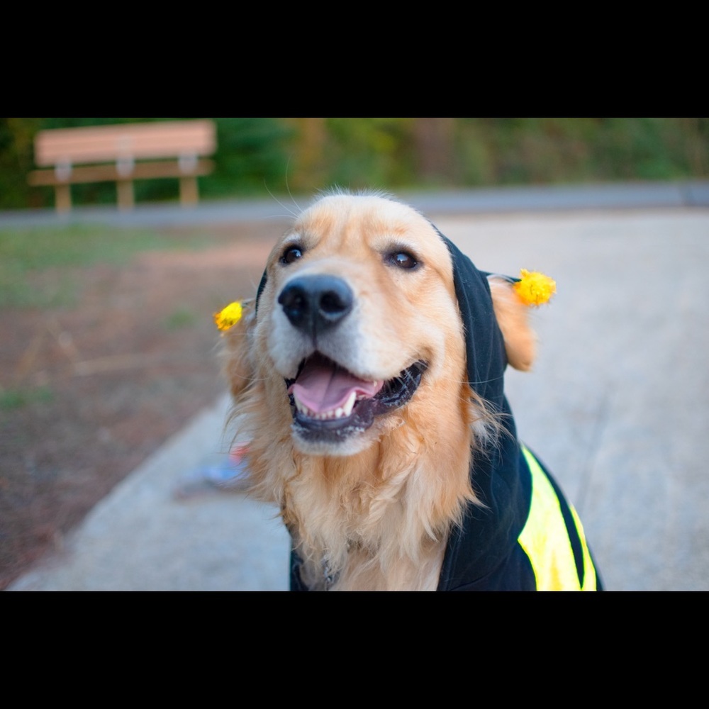 Meet your Posher, Kat